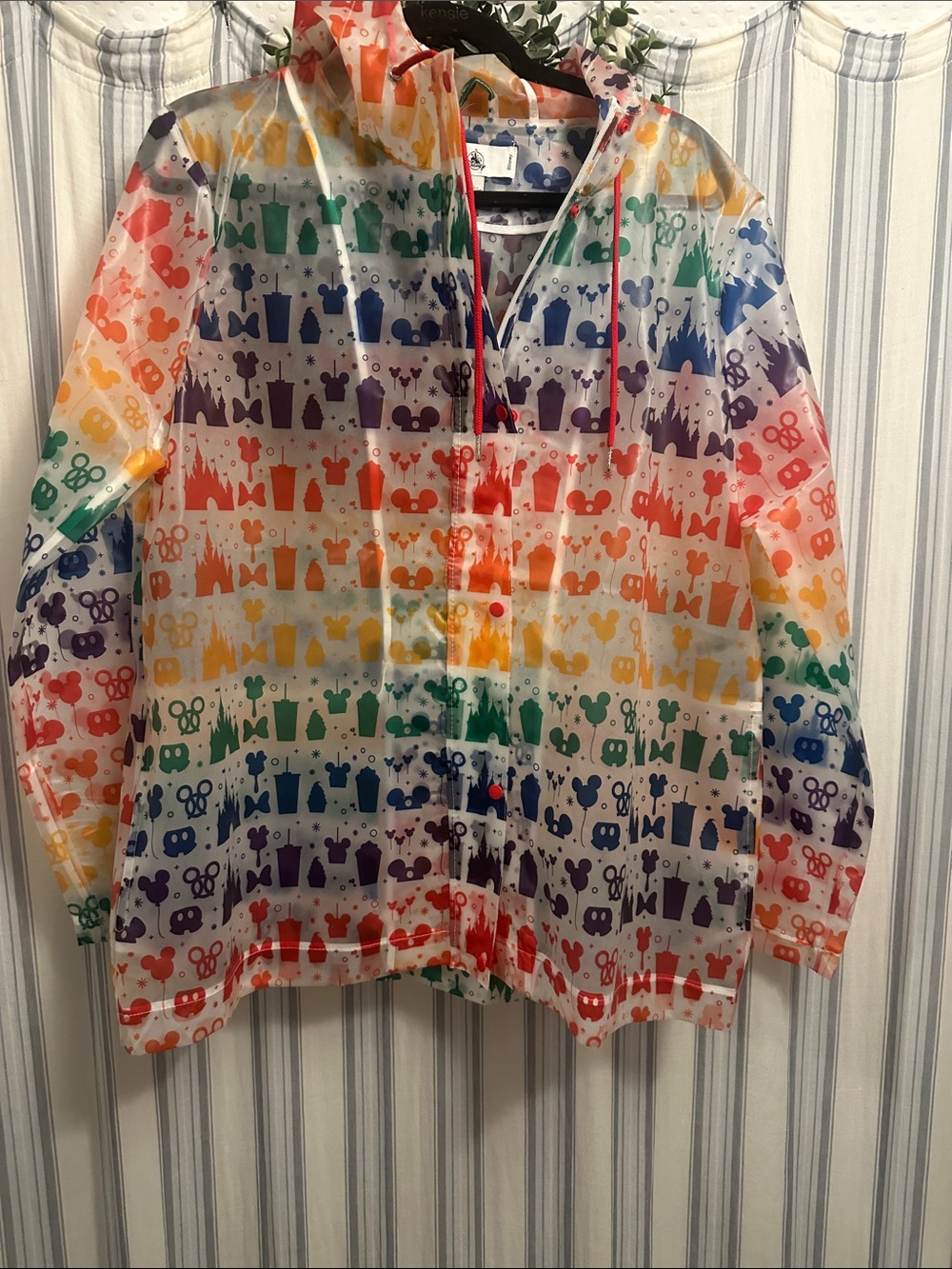 XL Disney Clear Rain Jacket with rainbow Mickey and park snacks
